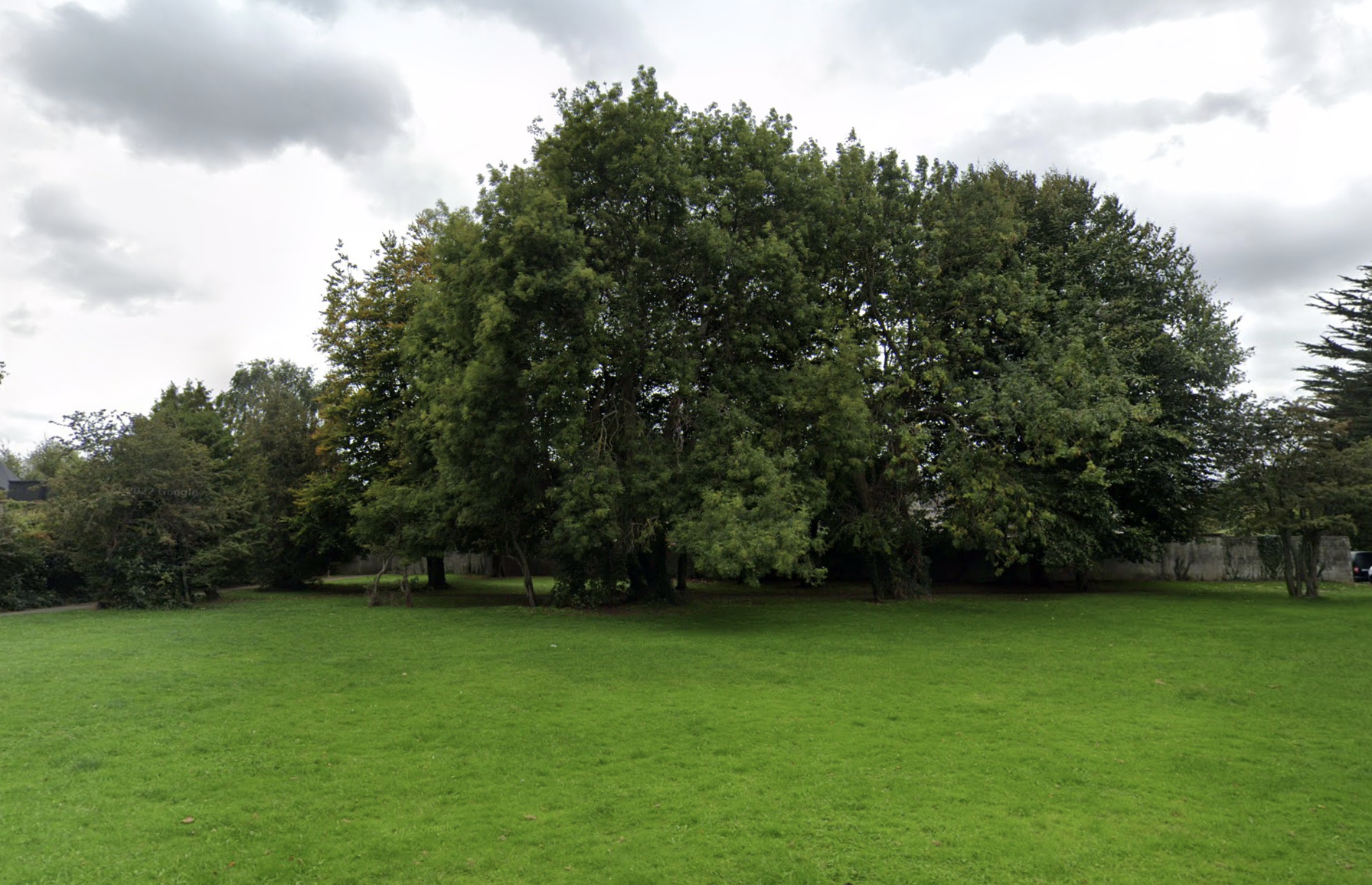 Hazel Avenue