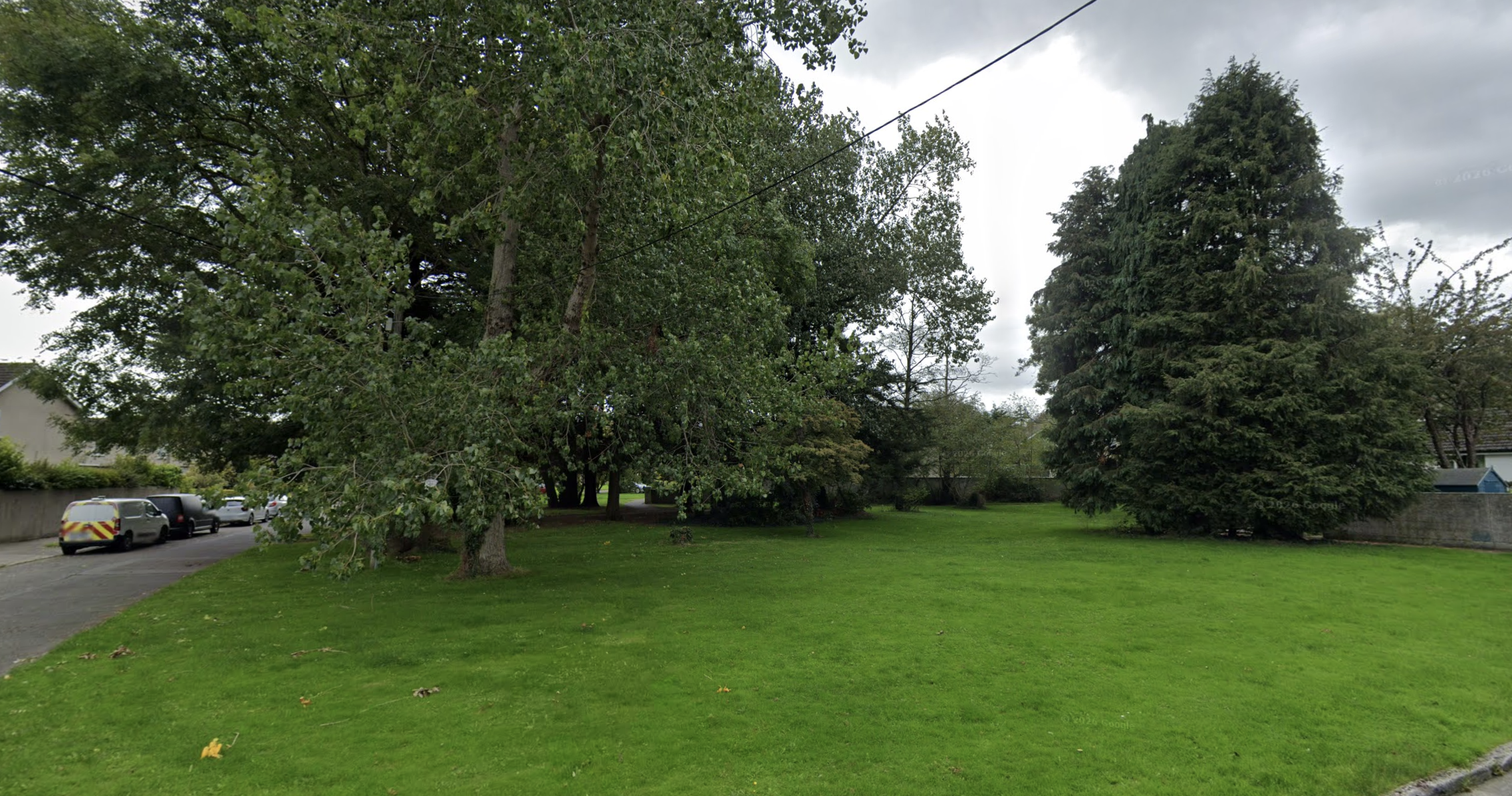 Trees along Hazel Avenue
